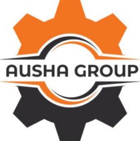 Picture for vendor Ausha Group