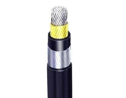 Picture of Aluminum Armoured XLPE PVC Cable-Size:16 sqmm, Number of Core:1