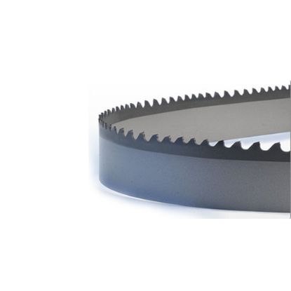 Picture of BANDSAW BLADE-M51