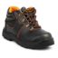Picture of Safety Shoes-Size:7nos