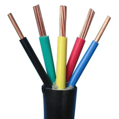 Picture of Round Copper Flexible Cable Size - 1.00 sqmm 5 Core 
