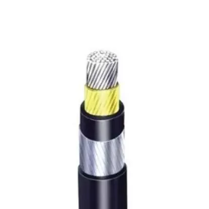 Picture of Aluminium Armoured  Cables Size - (1  Core)  50 Sqmm
