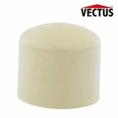 Picture of VECTUS CPVC END CAP , SIZE - 65 MM 