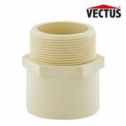 Picture of VECTUS MALE ADAPTER PLASTIC THREADED -FAPT CPVC ,SIZE -  20 MM	