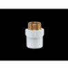 Picture of SUPREME AQUA GOLD MALE THREADED ADAPTER SCH -80 , 25 MM, 1"x1"