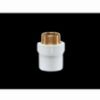 Picture of SUPREME AQUA GOLD MALE THREADED ADAPTER  SCH -80 , 65 MM , 2-1/2"
