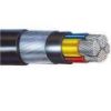 Picture of  Copper Armored XLPE PVC Insulated Cable-Number of Cores: 2 core, Cable Size: 6 SQ. MM