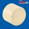 Picture of VECTUS CPVC END CAP , SIZE - 25 MM 